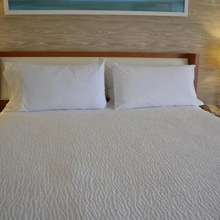 Holiday Inn & Suites Bolingbrook By Ihg